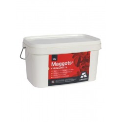 Maggots 5 kg