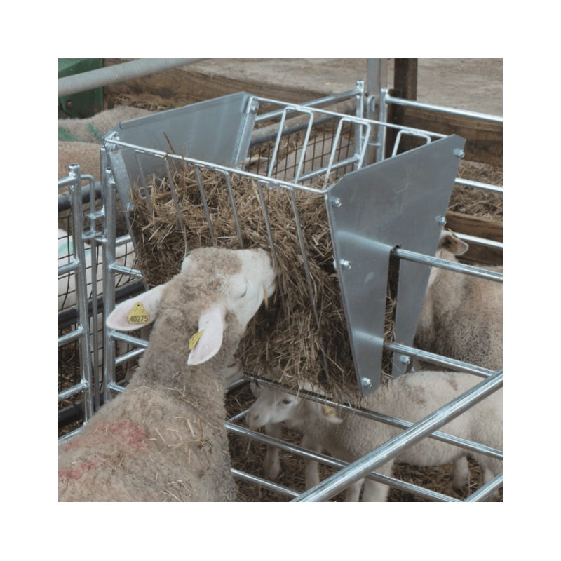 Auges Moutons ou Chèvres - Auges galvanisées Ovins Caprins