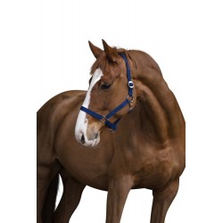 Halster Classic 00 (Foal)